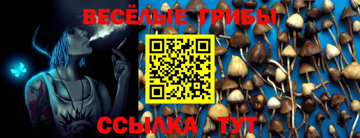 Галлюциногенные грибы Magic Shrooms  Псилоцибиновые грибы Cubensis  Сургут  Вход с VPN 
